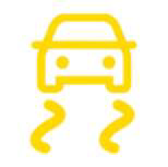 Electronic stability control light