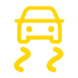 Electronic stability control light